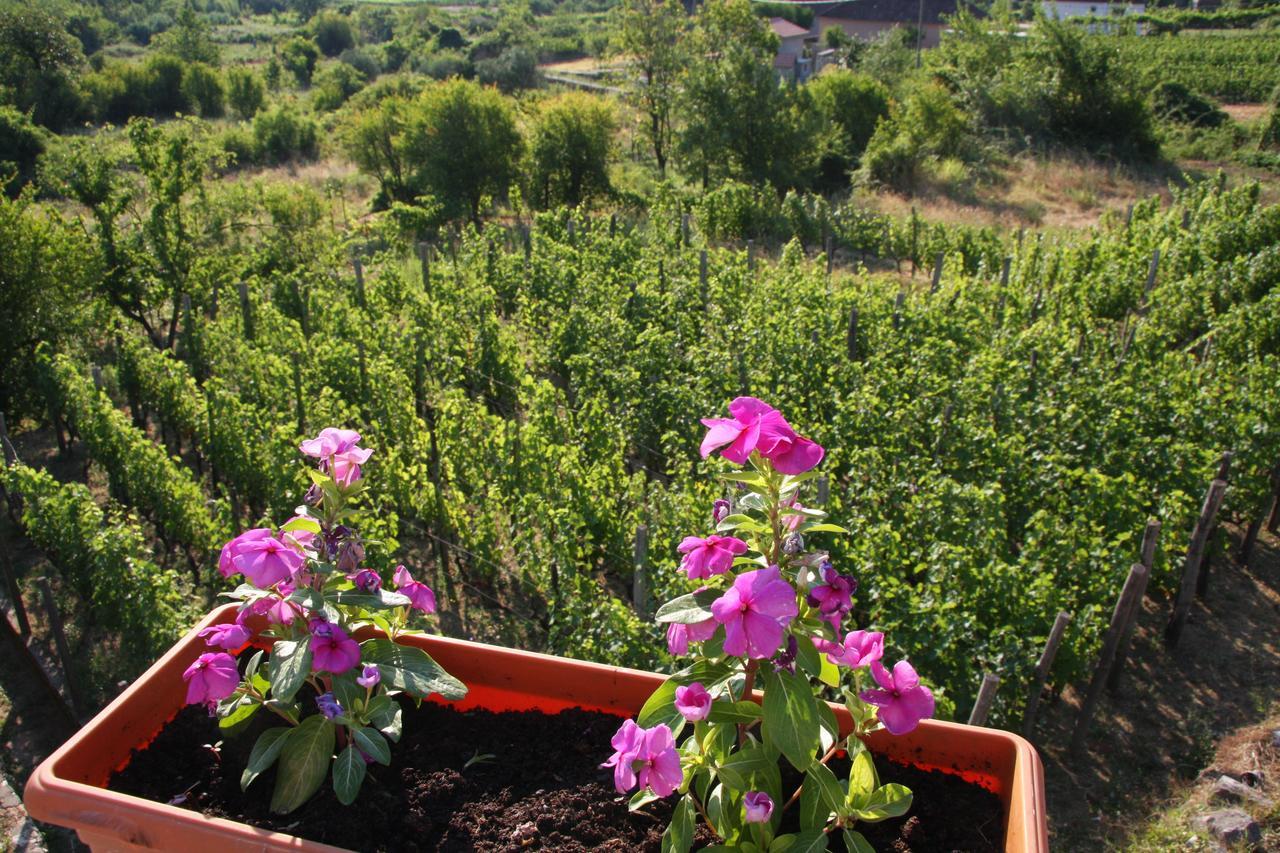 Vrzina Farm House Skadar Lake Virpazar Εξωτερικό φωτογραφία