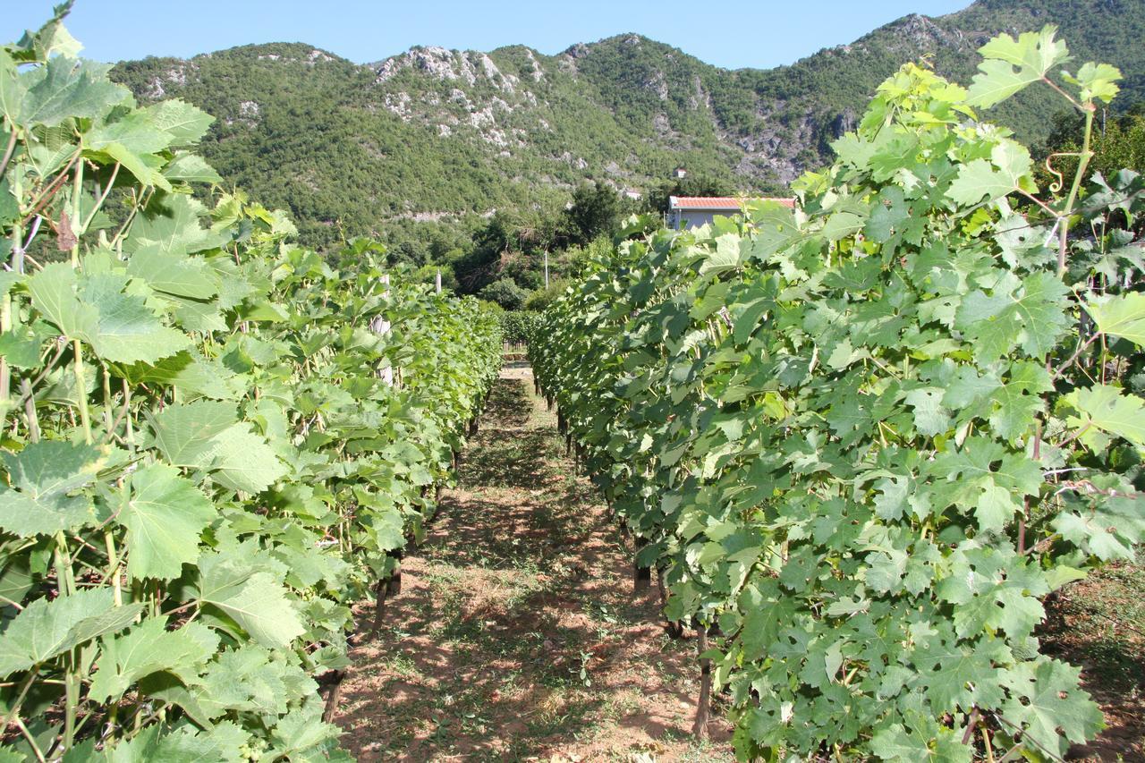 Vrzina Farm House Skadar Lake Virpazar Εξωτερικό φωτογραφία