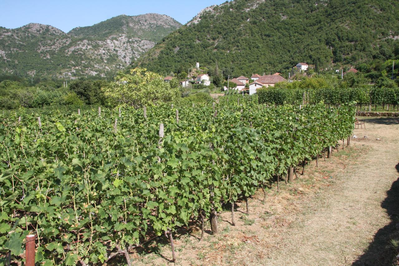 Vrzina Farm House Skadar Lake Virpazar Εξωτερικό φωτογραφία
