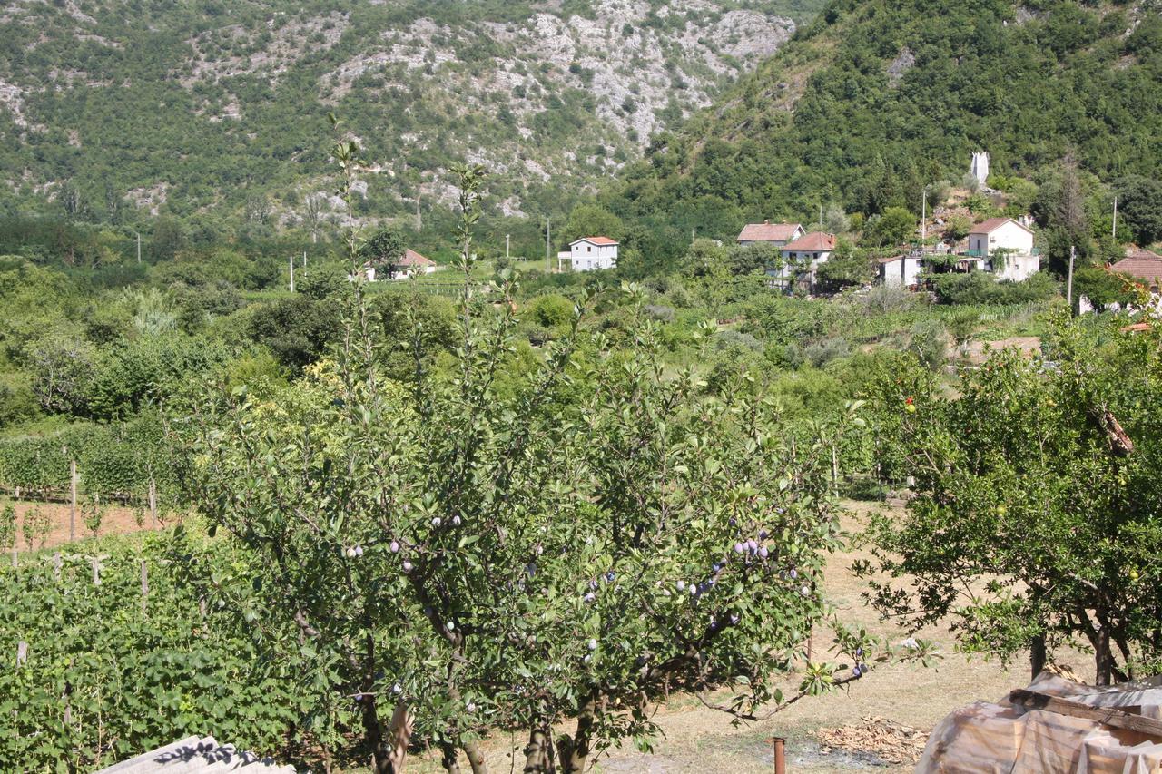 Vrzina Farm House Skadar Lake Virpazar Εξωτερικό φωτογραφία