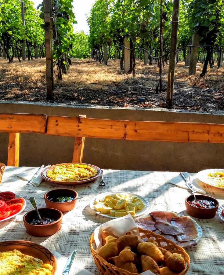 Vrzina Farm House Skadar Lake Virpazar Εξωτερικό φωτογραφία