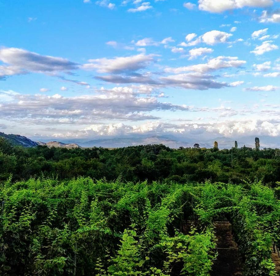Vrzina Farm House Skadar Lake Virpazar Εξωτερικό φωτογραφία